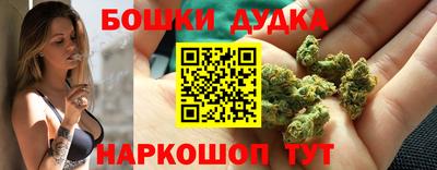 стаф Обь